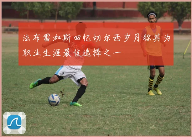 法布雷加斯回忆切尔西岁月称其为职业生涯最佳选择之一