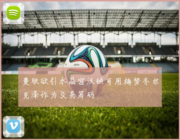 曼联欲引水晶宫沃顿可用梅努齐尔克泽作为交易筹码