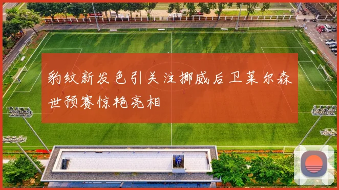 豹纹新发色引关注挪威后卫莱尔森世预赛惊艳亮相
