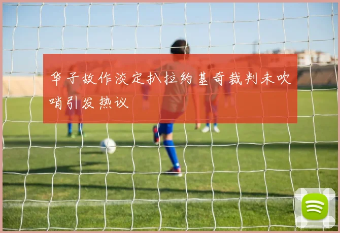 华子故作淡定扒拉约基奇裁判未吹哨引发热议