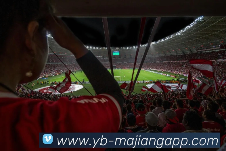 多媒体互动体验